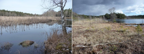 Left: Limnogenous wetland, Lidingö, Sweden. Right: Bog, Vaxholm, Sweden