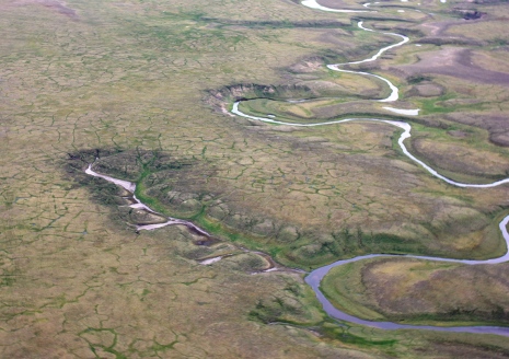 Tinande permafrost i Sibirien polygonal tundra.. Foto: Gustaf Hugelius.
