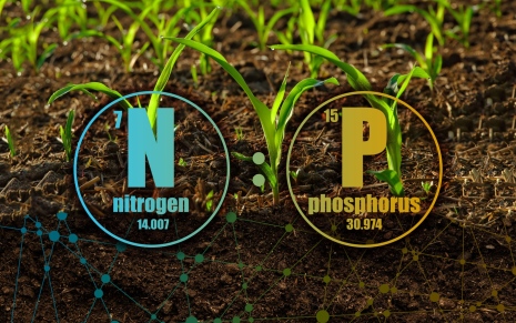 Illustration: PNNL Creative Services