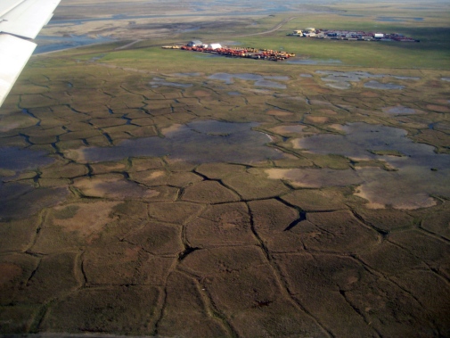 Permafrost med tundrapolygon visar på klimatförändringar, Alaska Arktis. Foto Britta Sannel. Permafrost med tundrapolygon visar på klimatförändringar, Alaska Arktis. Foto Britta Sannel.