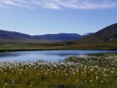 Svenska fjällen med forskarnas väderstation i bakgrunden. Foto: Gunhild Rosqvist. Svenska fjällen med forskarnas väderstation i bakgrunden. Foto: Gunhild Rosqvist.