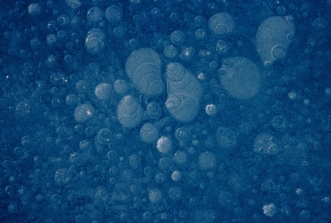 Bubblor i isen