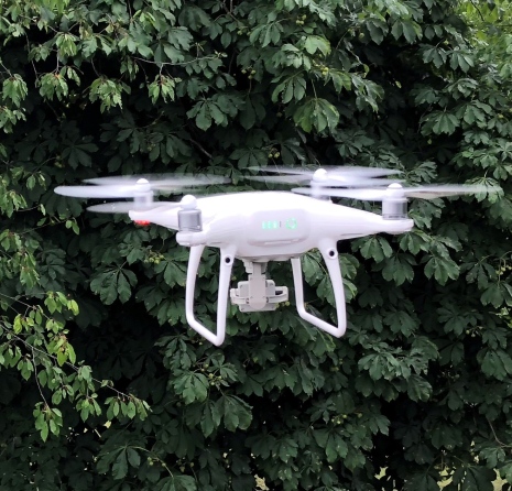 Bilder tagna med drönare ska ge information om platserna där gräsmarksväxter finns. Foto: Mark Ghaly Bilder tagna med drönare ska ge information om platserna där gräsmarksväxter finns. Foto: Mark Ghaly