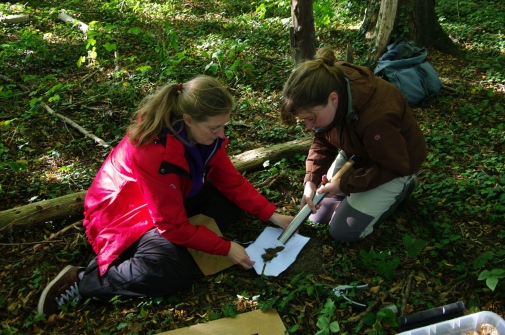 Soil sampling, Alicia Valdés and Karin Hansen pictured. Photo: Guillaume Decocq. Soil sampling, Alicia Valdés and Karin Hansen pictured. Photo: Guillaume Decocq.