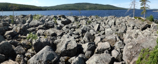 Ripped rock surface on granite gneiss, Gryttjen, Ljusdal, Gävleborg County, Sweden. (Photo: Adrian H
