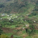 Virunga-bergen in Uganda. Photo: Achim Prill / Mostphotos.