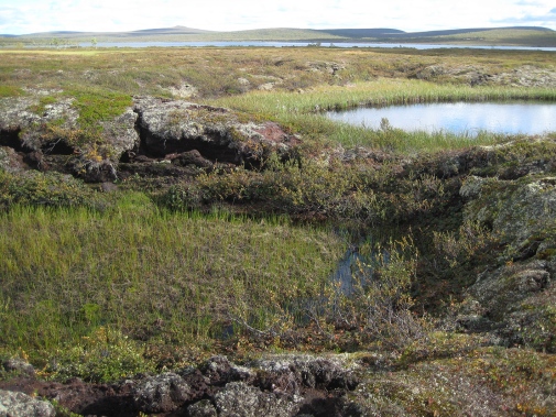 Kollapsande torvmark när permafrost tinar, Tavvavuoma i norra Sverige. Foto: Britta Sannel.