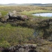 Collapsed peatland when permafrost thaws, Tavvavuoma in northern Sweden. Photo: Britta Sannel.