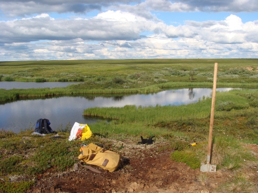 Provtagning vid termokarstsjöar i Ryssland som bildas när permafrosten tinar. Foto: Gustaf Hugelius.