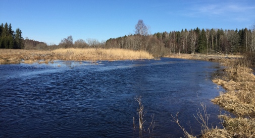 Hydroklimatiska förändringar studeras i våtmarker.