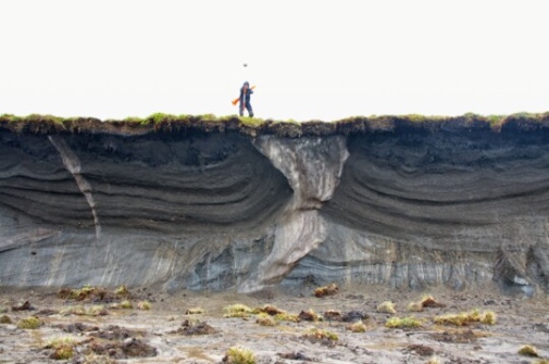 Iskilar på Herschel Island. Matthias Siewert
