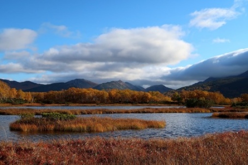Arctic wetland