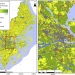 Maps showing the carbon sequestration potential of terrestrial land cover in Stockholm County (left) and in Stockholm City (right).
